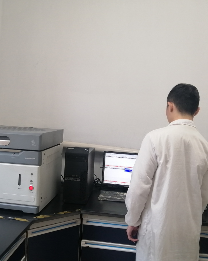 k1体育 - 十年品牌 值得信任