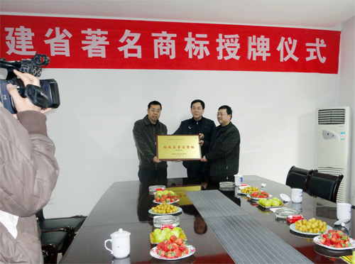 k1体育 - 十年品牌 值得信任