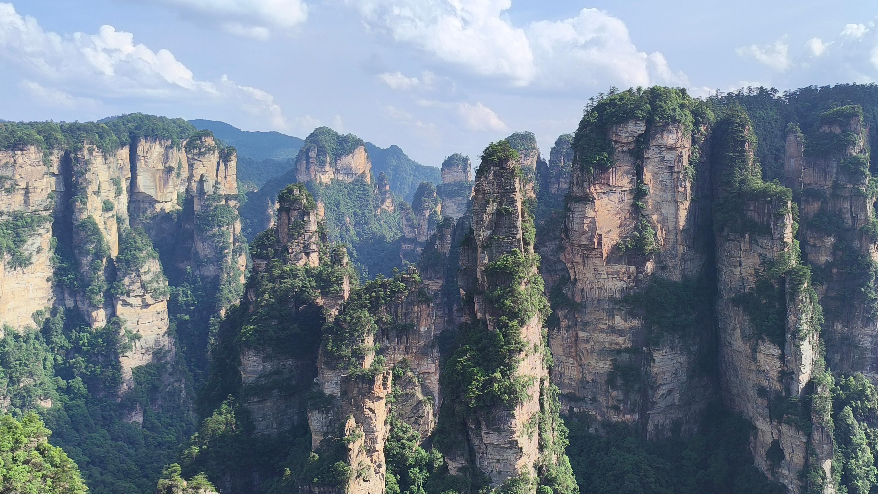 k1体育 - 十年品牌 值得信任